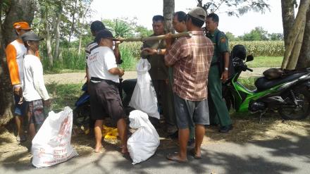 UPSUSPAJALE DESA WONOKROMO