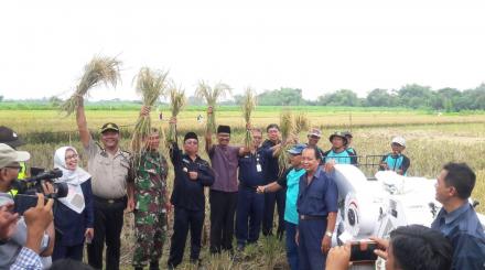 Wiwitan dan Panen Raya Gapoktan Desa Wonokromo