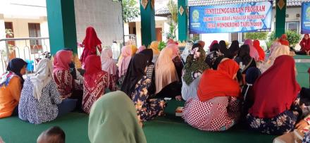 Penyuluhan Kader DB4MK Desa Wonokromo