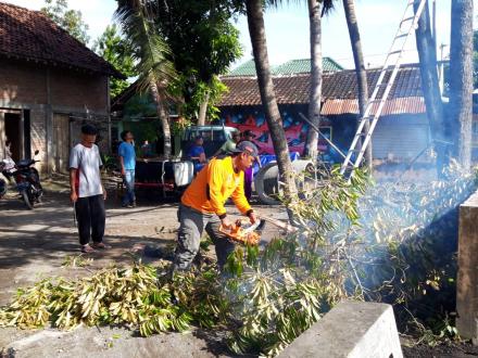 Antisipasi Adanya Pohon Tumbang, FPRB Desa Wonokromo Adakan Rabas – Rabas Pohon