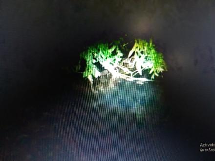 Keberadaan Ular Piton di Sungai Belik Resahkan Warga